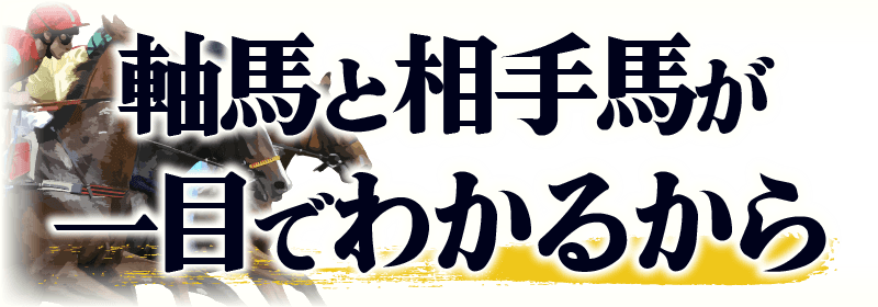 軸馬と相手馬が一目でわかるから